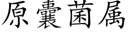 原囊菌属 (楷体矢量字库)