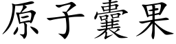 原子囊果 (楷体矢量字库)