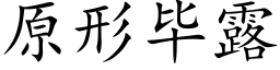 原形畢露 (楷體矢量字庫)