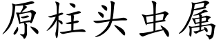 原柱头虫属 (楷体矢量字库)