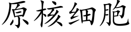 原核细胞 (楷体矢量字库)