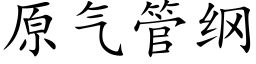 原气管纲 (楷体矢量字库)