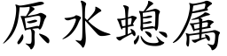 原水螅属 (楷体矢量字库)