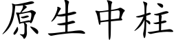 原生中柱 (楷体矢量字库)