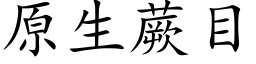 原生蕨目 (楷體矢量字庫)