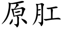 原肛 (楷体矢量字库)