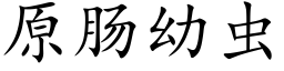 原肠幼虫 (楷体矢量字库)