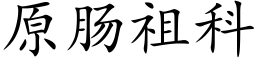 原肠祖科 (楷体矢量字库)