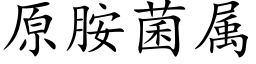 原胺菌属 (楷体矢量字库)