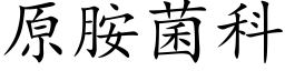 原胺菌科 (楷体矢量字库)