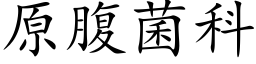 原腹菌科 (楷體矢量字庫)