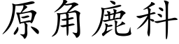 原角鹿科 (楷体矢量字库)