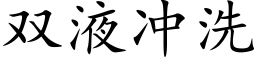 雙液沖洗 (楷體矢量字庫)