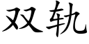 雙軌 (楷體矢量字庫)