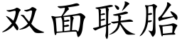 雙面聯胎 (楷體矢量字庫)