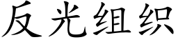 反光组织 (楷体矢量字库)