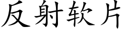 反射軟片 (楷體矢量字庫)