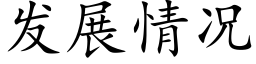 發展情況 (楷體矢量字庫)