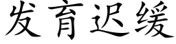 發育遲緩 (楷體矢量字庫)