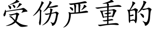 受伤严重的 (楷体矢量字库)