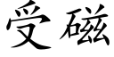 受磁 (楷體矢量字庫)