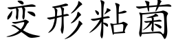 變形粘菌 (楷體矢量字庫)