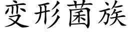 变形菌族 (楷体矢量字库)