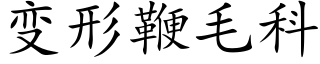 變形鞭毛科 (楷體矢量字庫)