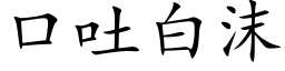 口吐白沫 (楷體矢量字庫)