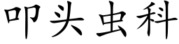 叩頭蟲科 (楷體矢量字庫)