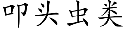 叩頭蟲類 (楷體矢量字庫)