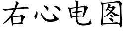 右心电图 (楷体矢量字库)