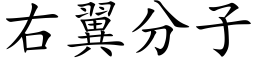 右翼分子 (楷體矢量字庫)