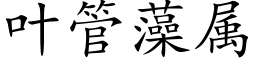 叶管藻属 (楷体矢量字库)