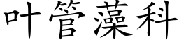 叶管藻科 (楷体矢量字库)