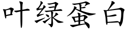 叶绿蛋白 (楷体矢量字库)