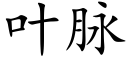 叶脉 (楷体矢量字库)