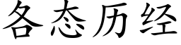 各态历经 (楷体矢量字库)