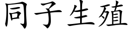 同子生殖 (楷体矢量字库)