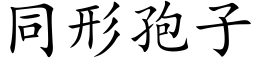 同形孢子 (楷體矢量字庫)