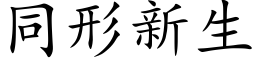 同形新生 (楷体矢量字库)