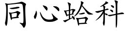 同心蛤科 (楷体矢量字库)