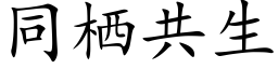 同栖共生 (楷体矢量字库)