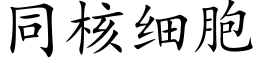 同核细胞 (楷体矢量字库)