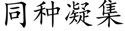 同種凝集 (楷體矢量字庫)