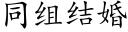 同組結婚 (楷體矢量字庫)