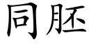 同胚 (楷體矢量字庫)