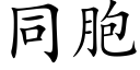 同胞 (楷體矢量字庫)