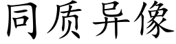 同質異像 (楷體矢量字庫)