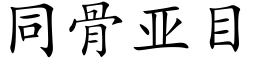 同骨亞目 (楷體矢量字庫)